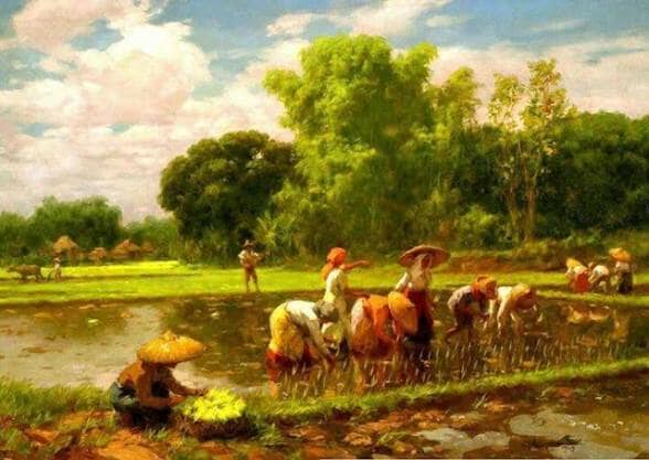 Planting Rice